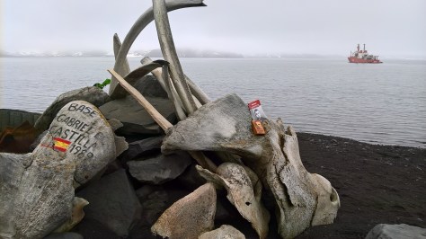 Miguel Hernandez en la Antártida Miguel Hernandez en la Antártida