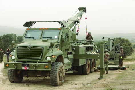 CATÁLOGO DE NOVEDADES II