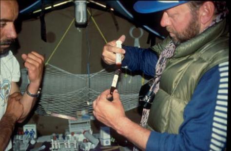 Tierra digital everest5