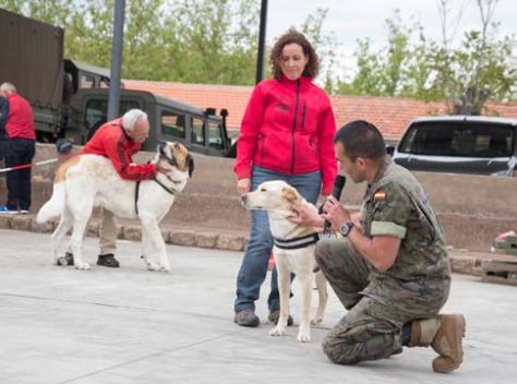 Conocer a...Sargento 1º Bautista 'El emBAUCANdor de perros'